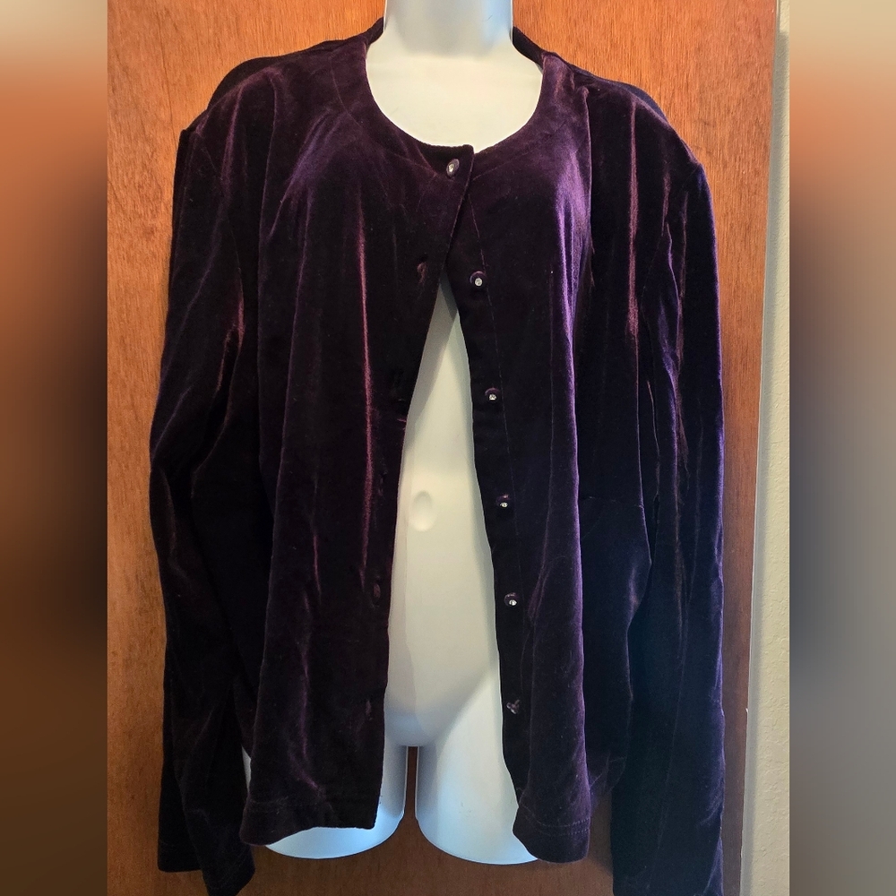 HOST PICK ππ Ronni Nicole II Vintage Velvet Women's Top/sweater NWT Sz24W/L - Picture 2 of 6